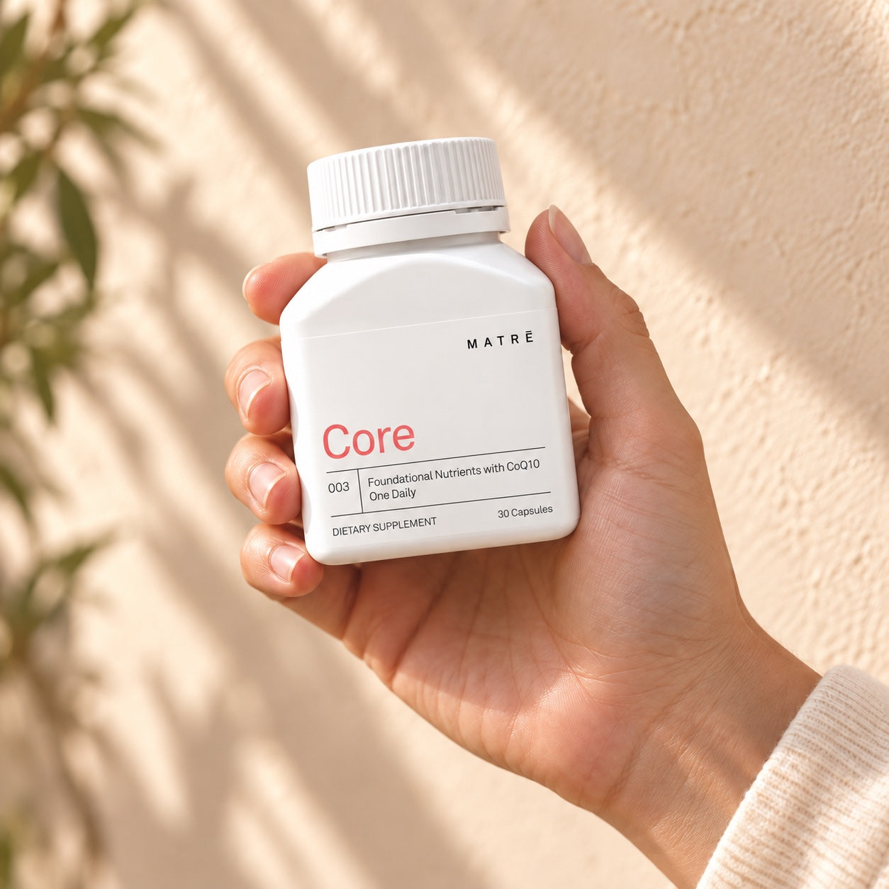 Core held in hand